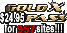GOLD X PASS