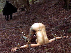 Torture in the forest