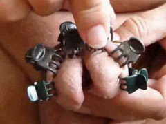 Clamps on the forked cock